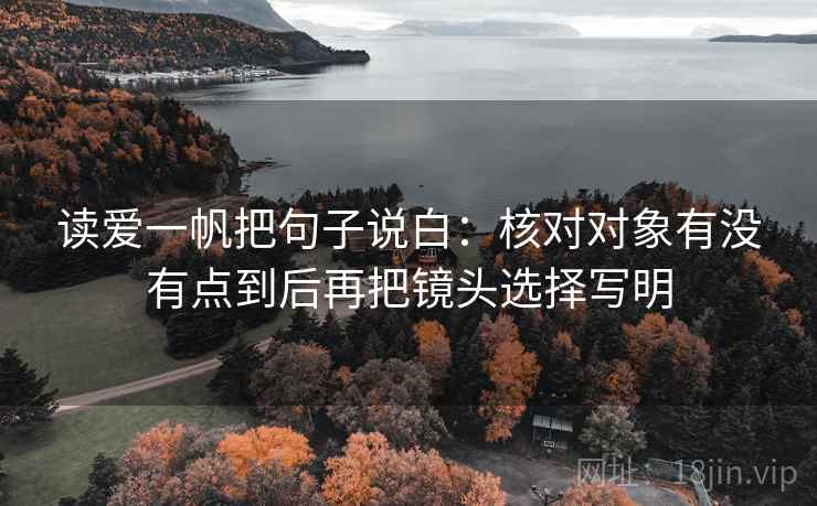 读爱一帆把句子说白：核对对象有没有点到后再把镜头选择写明  第2张