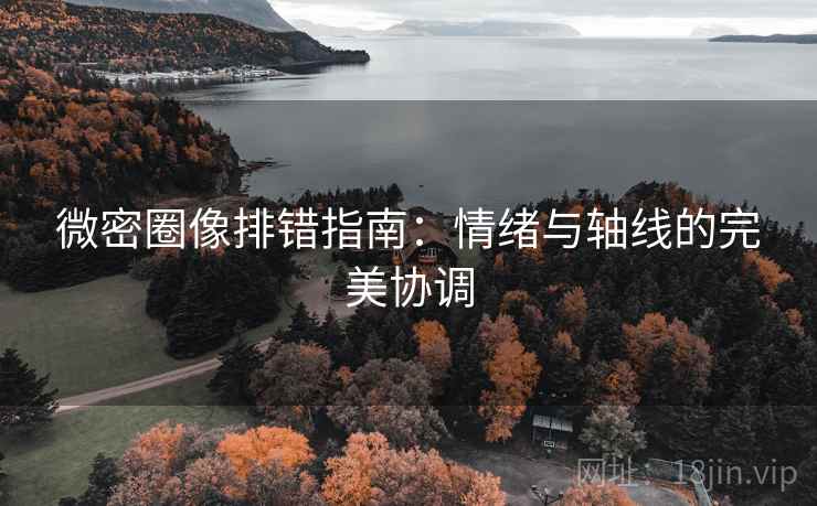 微密圈像排错指南：情绪与轴线的完美协调  第2张