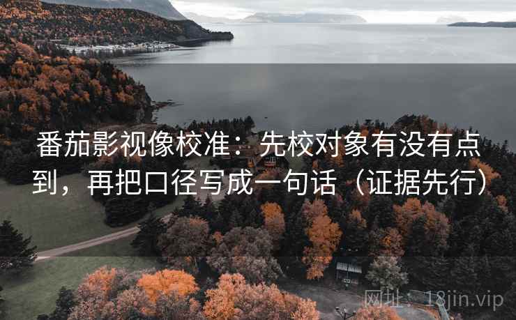 番茄影视像校准:先校对象有没有点到,再把口径写成一句话(证据先行)