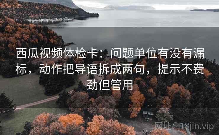 西瓜视频体检卡:问题单位有没有漏标,动作把导语拆成两句,提示不费劲但管用